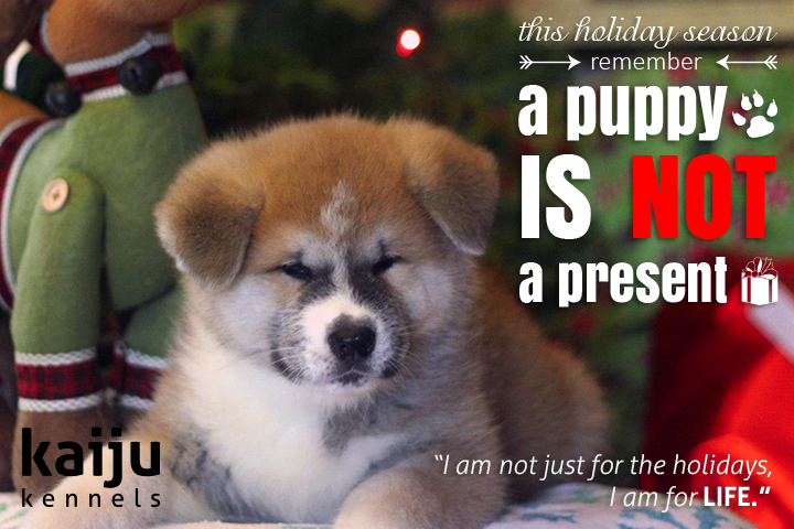 Puppy_NotPresent